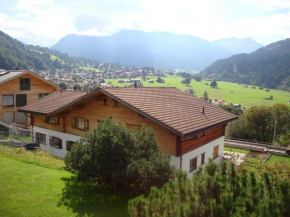 Fajätsch über dem Bach, Klösterle, Österreich, Klösterle, Österreich
